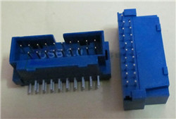 IDC 19P公头 90DIP